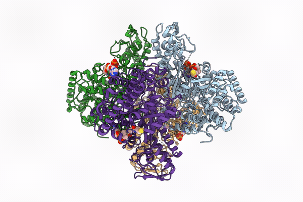38TD image