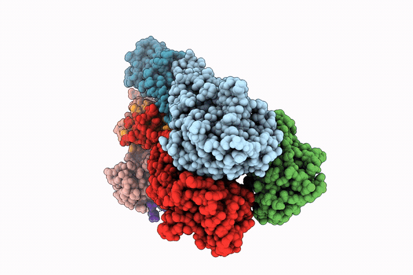 39HU image