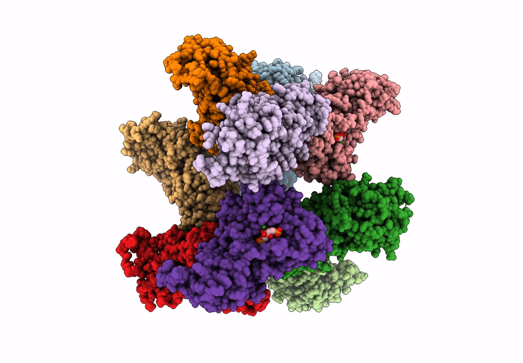 3A13 image