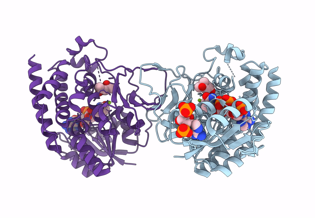 3A14 image