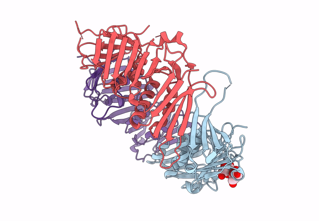 3A1J image
