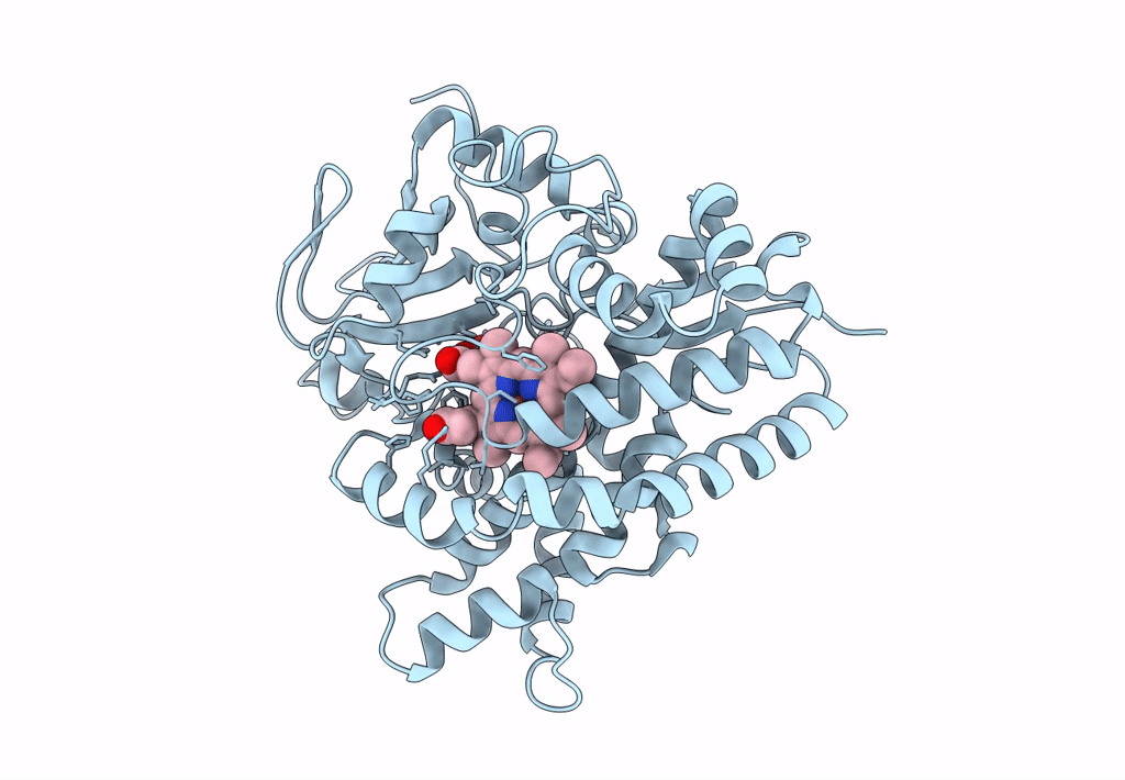 3A1L image