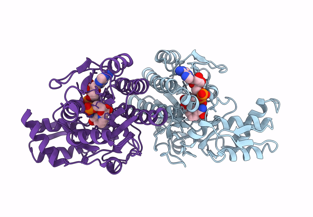 3A1N image