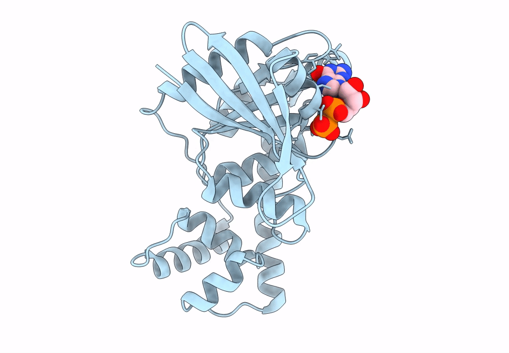 3A1T image