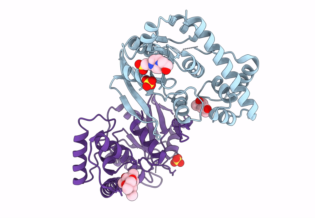 3A1V image