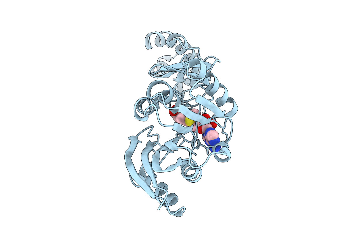 3A25 image