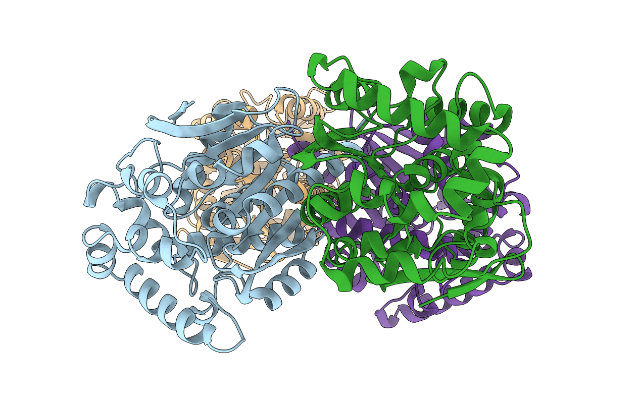 3A2N image
