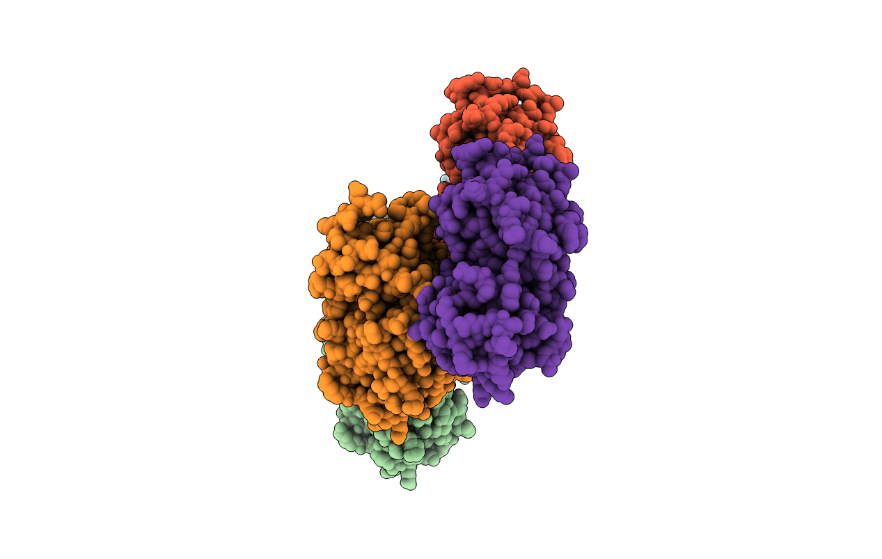 3A3T image