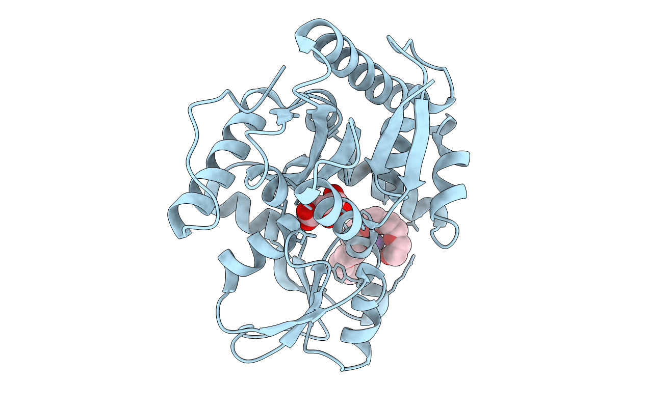 3A3U image