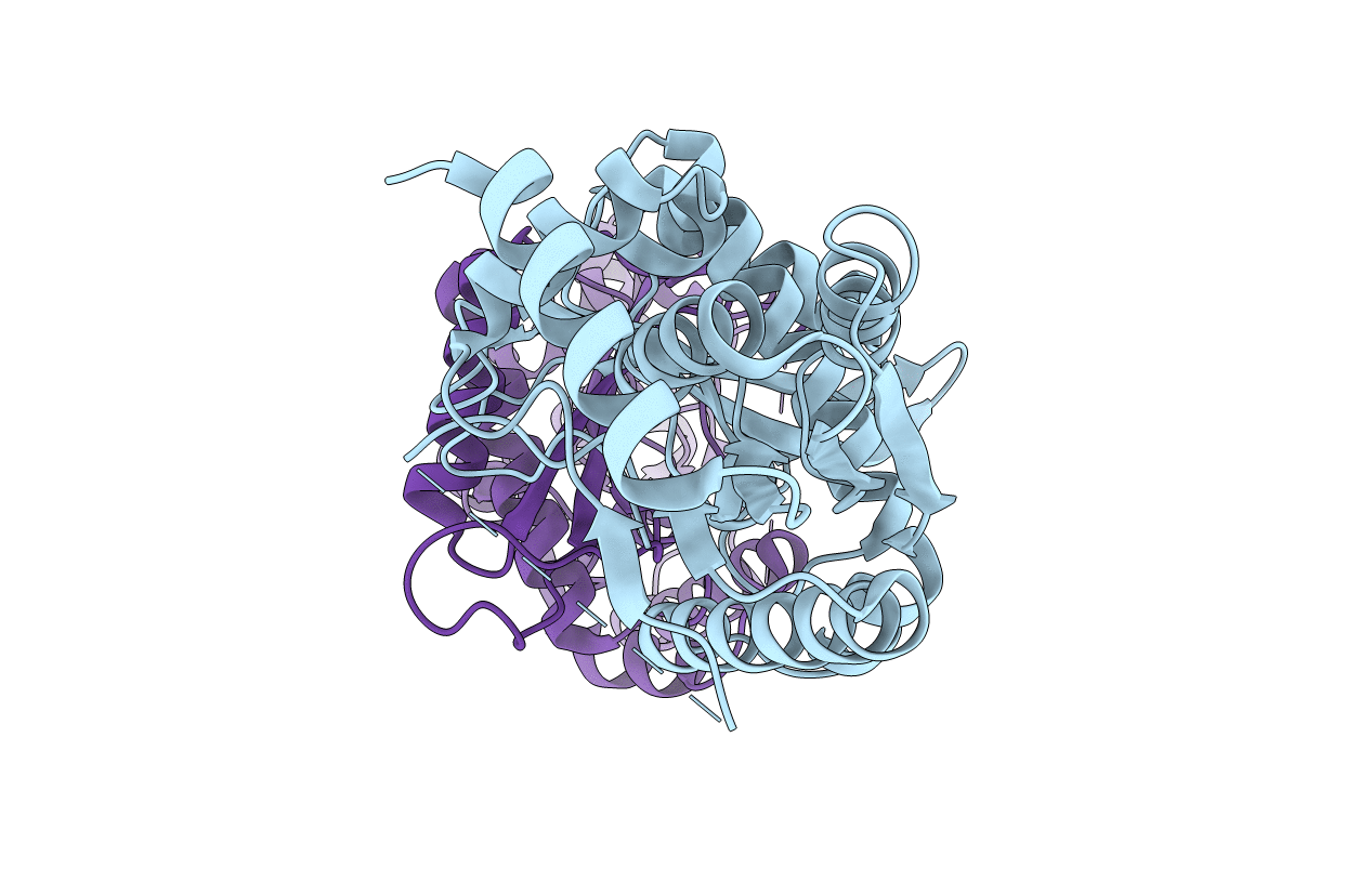 3A4I image