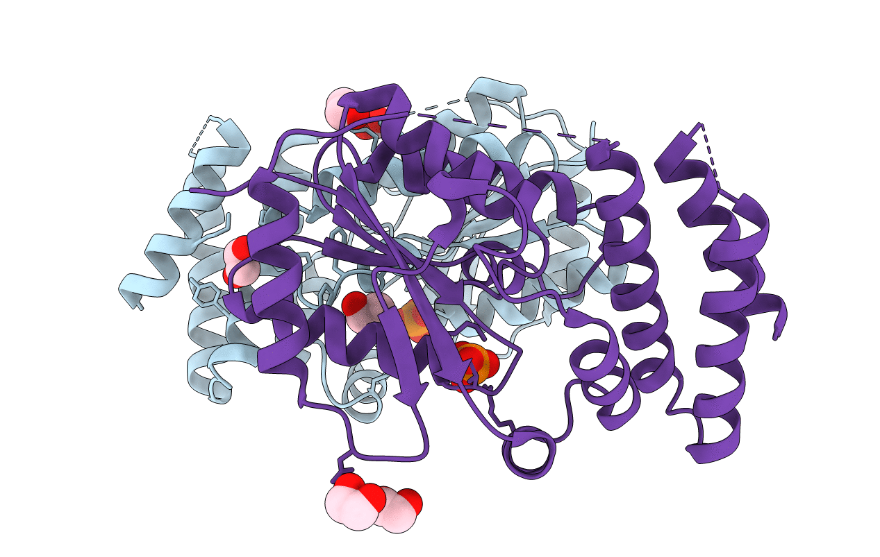 3A4N image