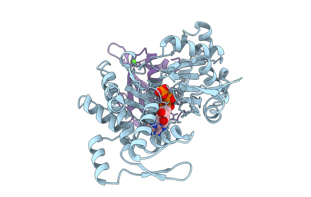 3A5N image