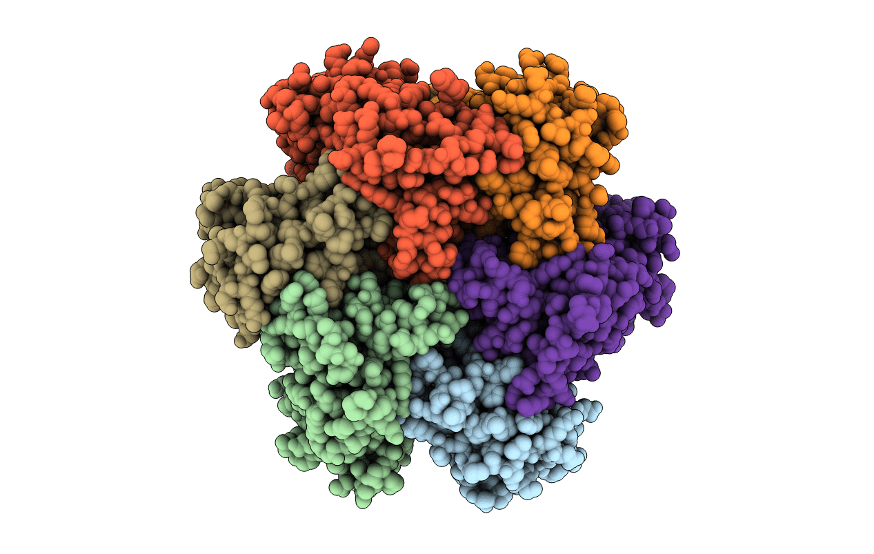 3A6K image