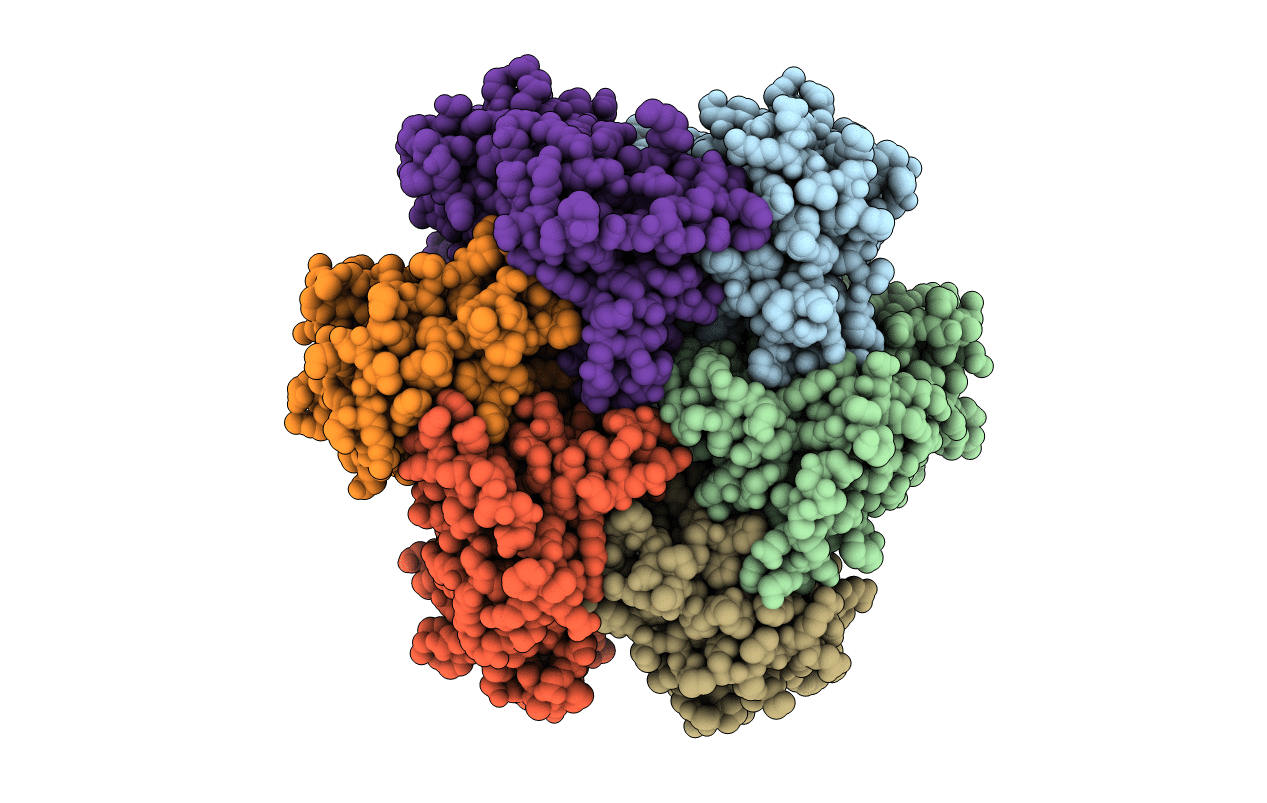3A6L image