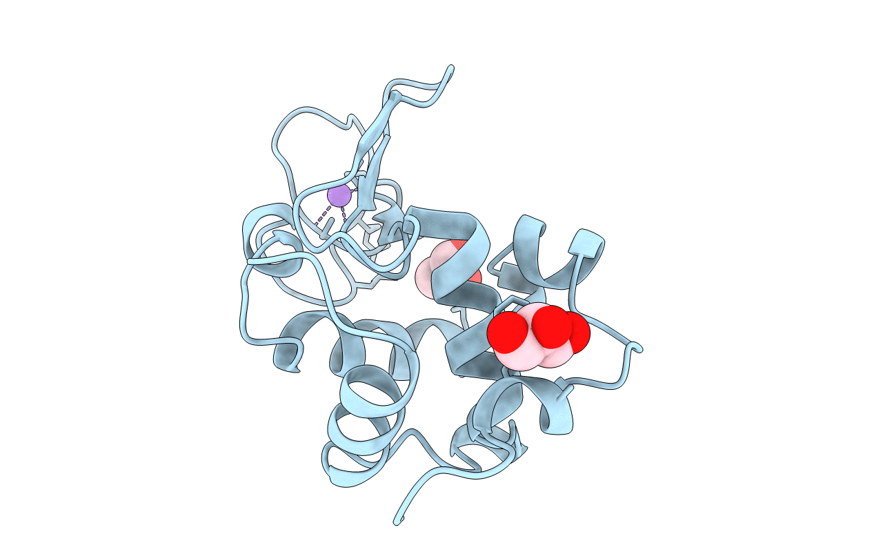 3A8Z image