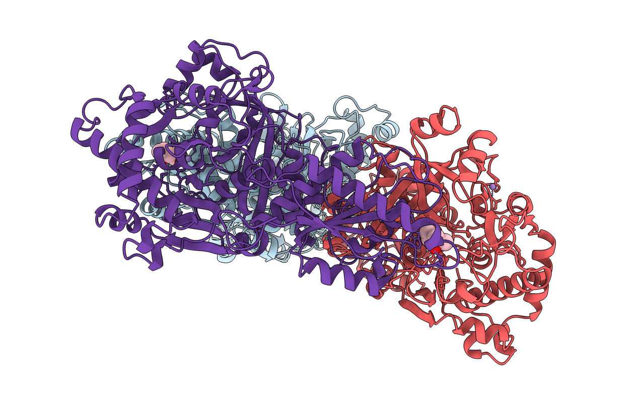 3A9R image