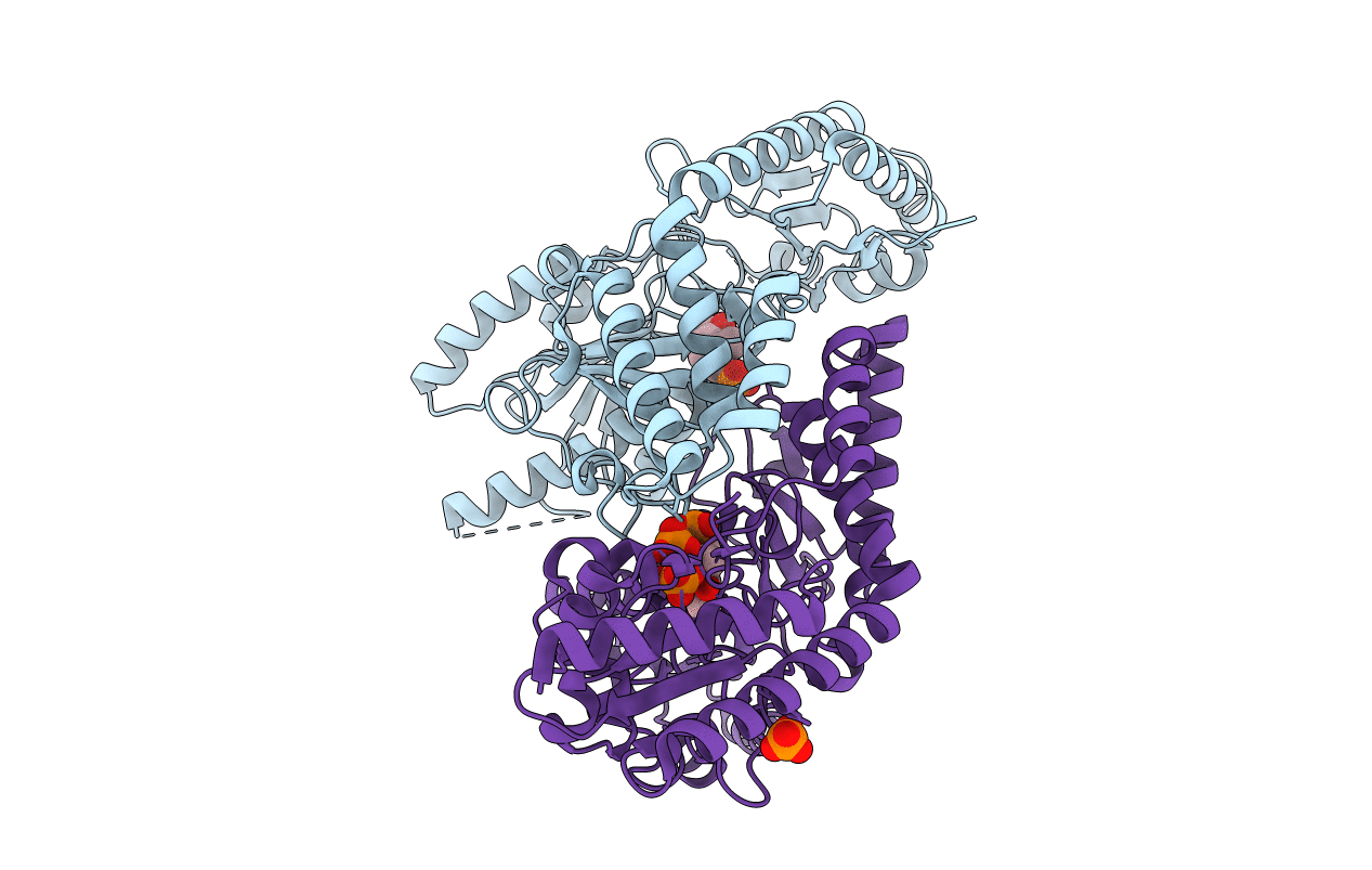 3A9X image
