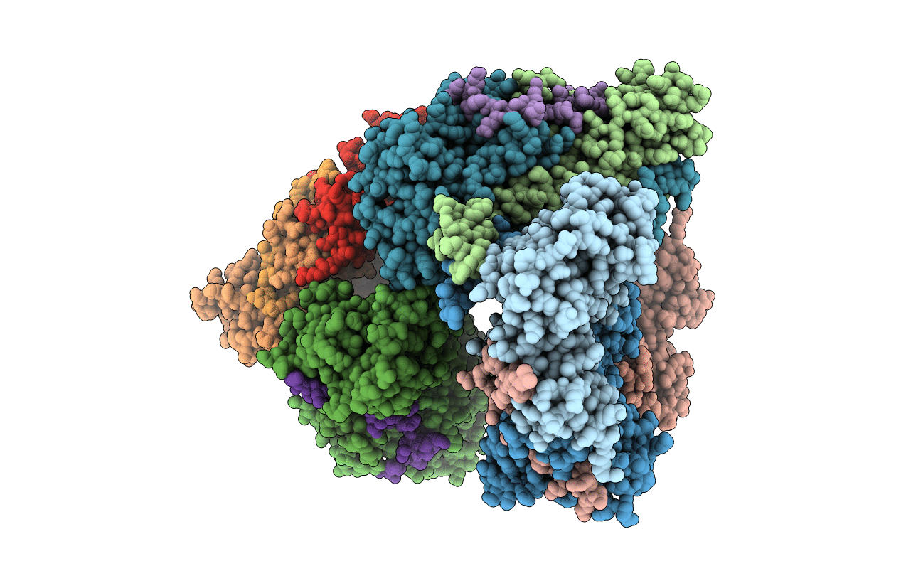 3AAE image