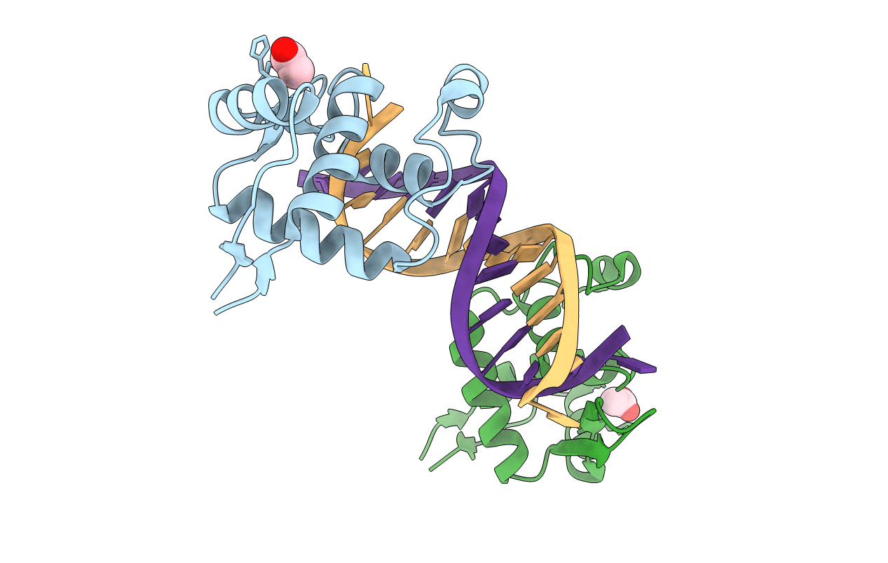 3AAF image