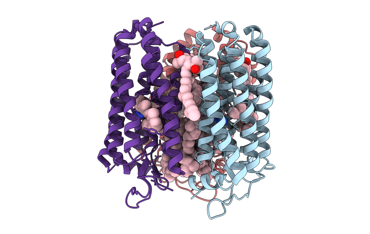 3abw image
