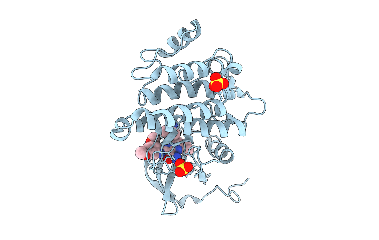 3AC8 image