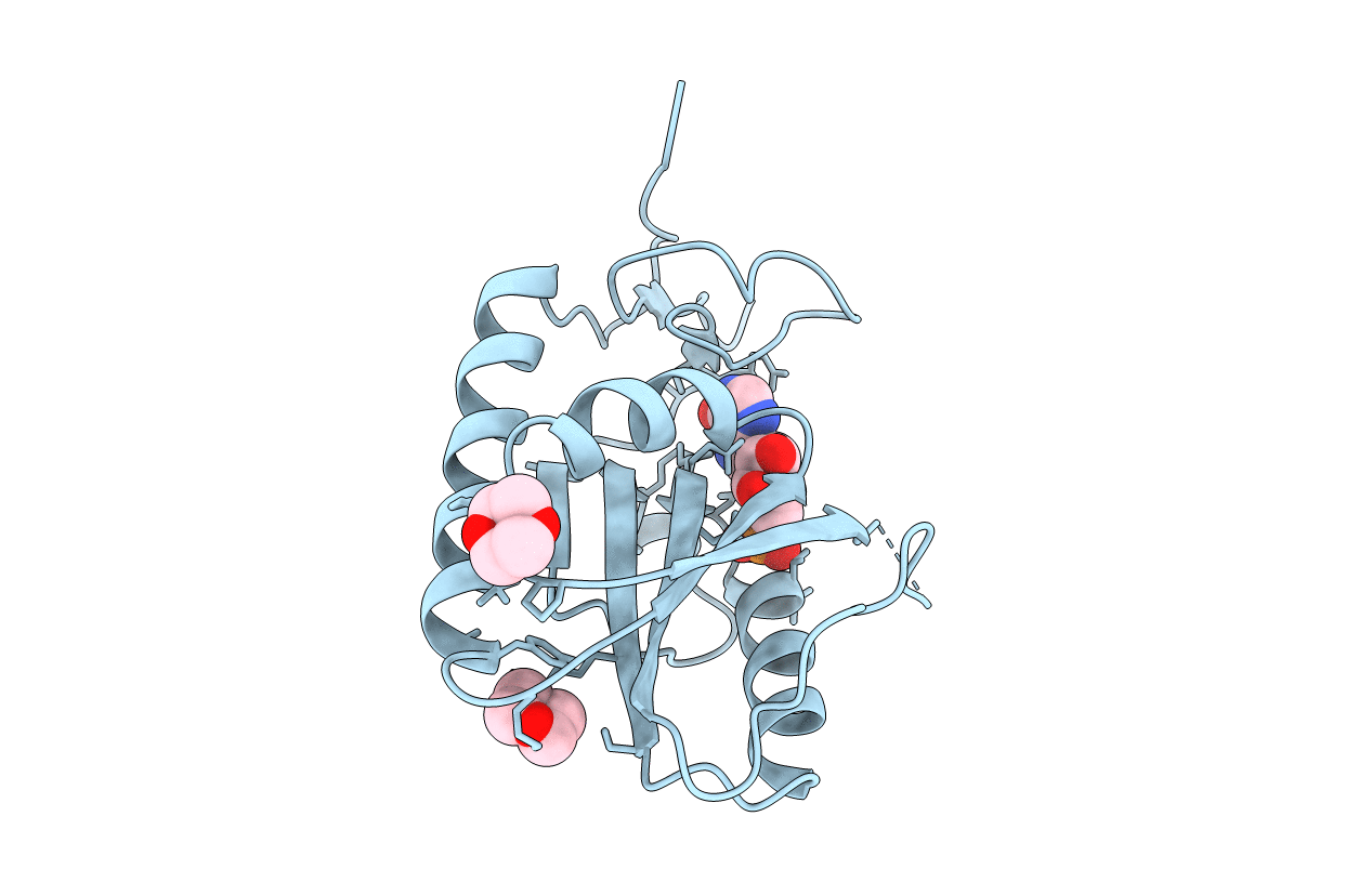 3ACD image
