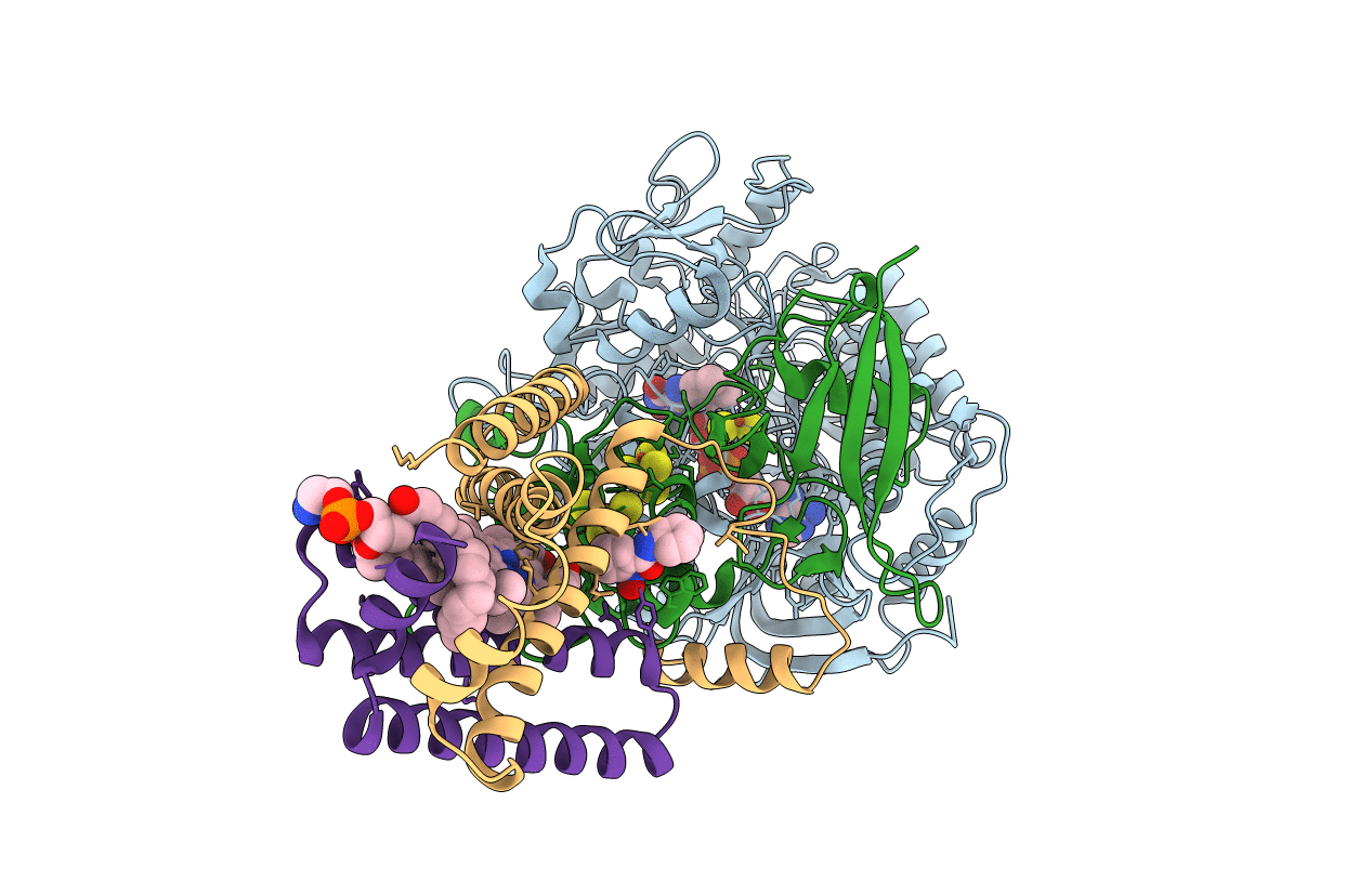 3AE3 image