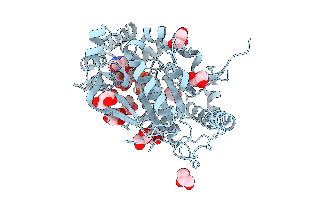 3AF2 image