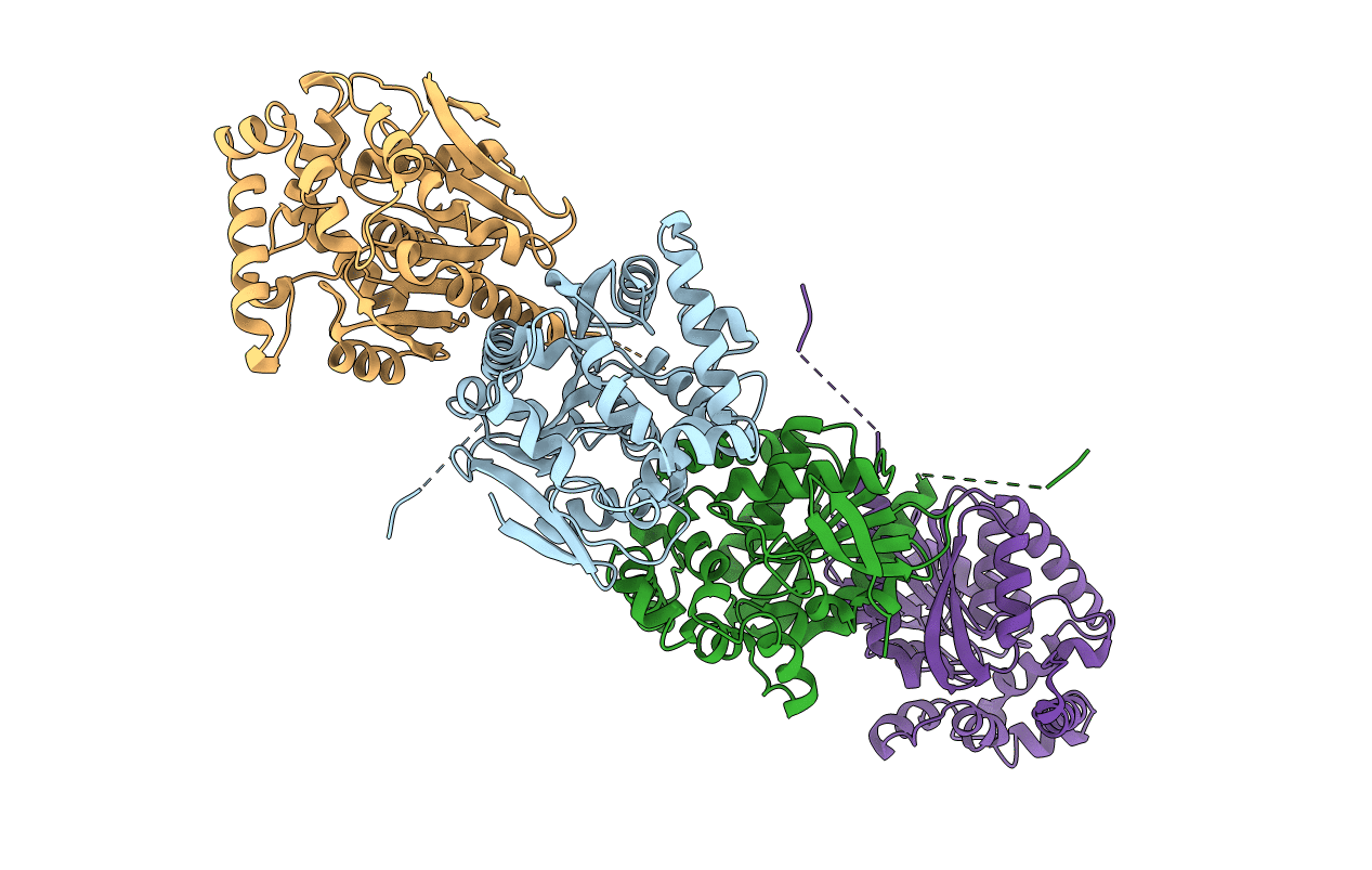 3AFI image