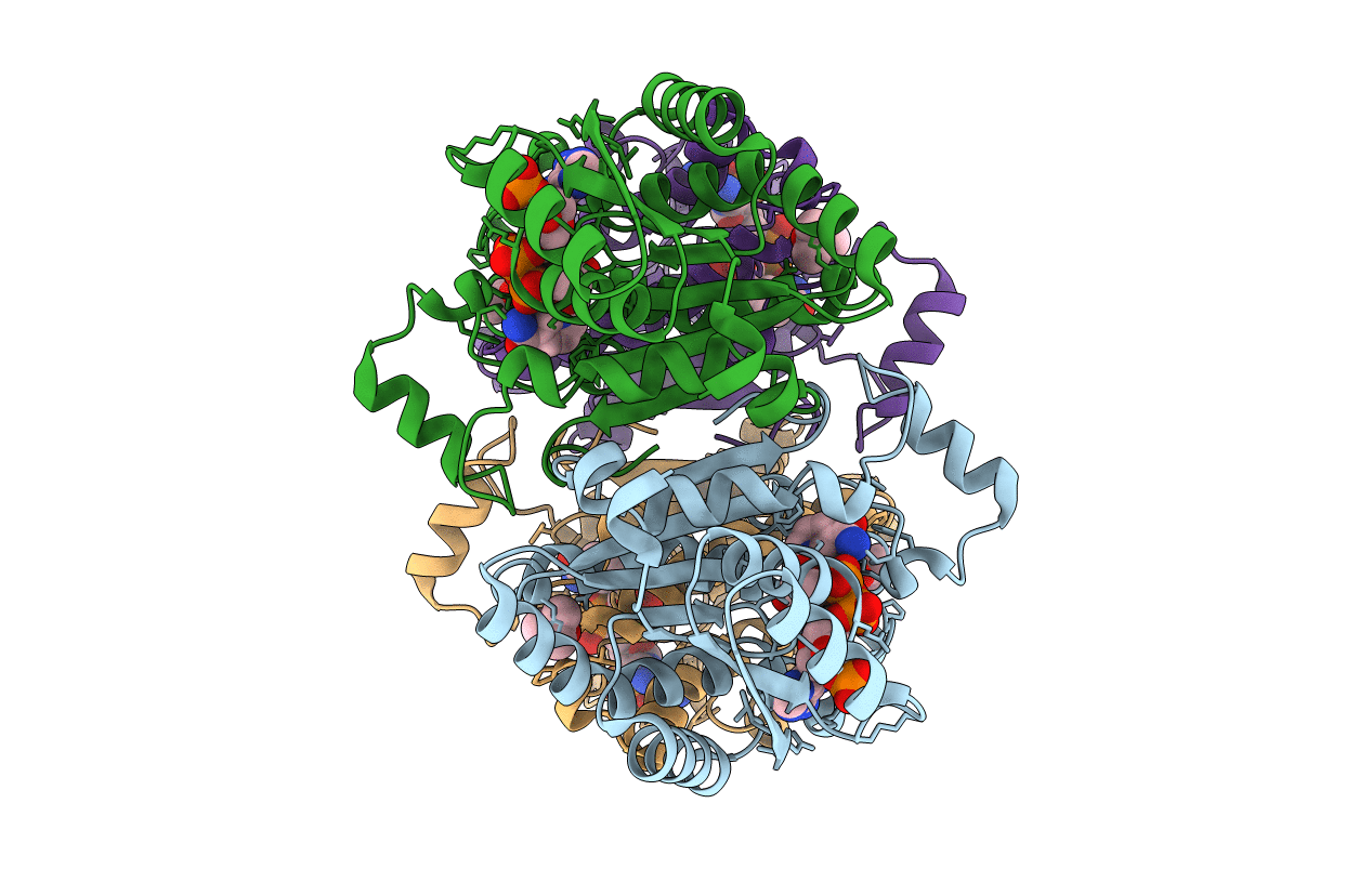 3AFN image
