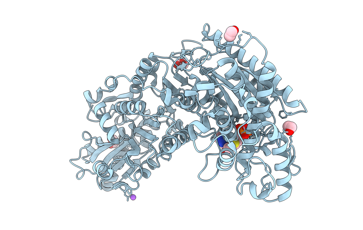3AHD image