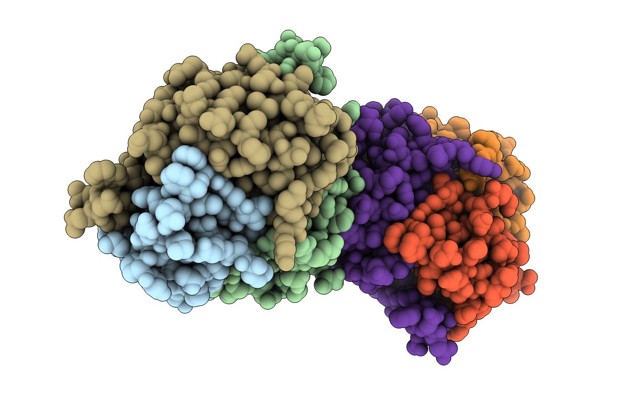 3AHP image