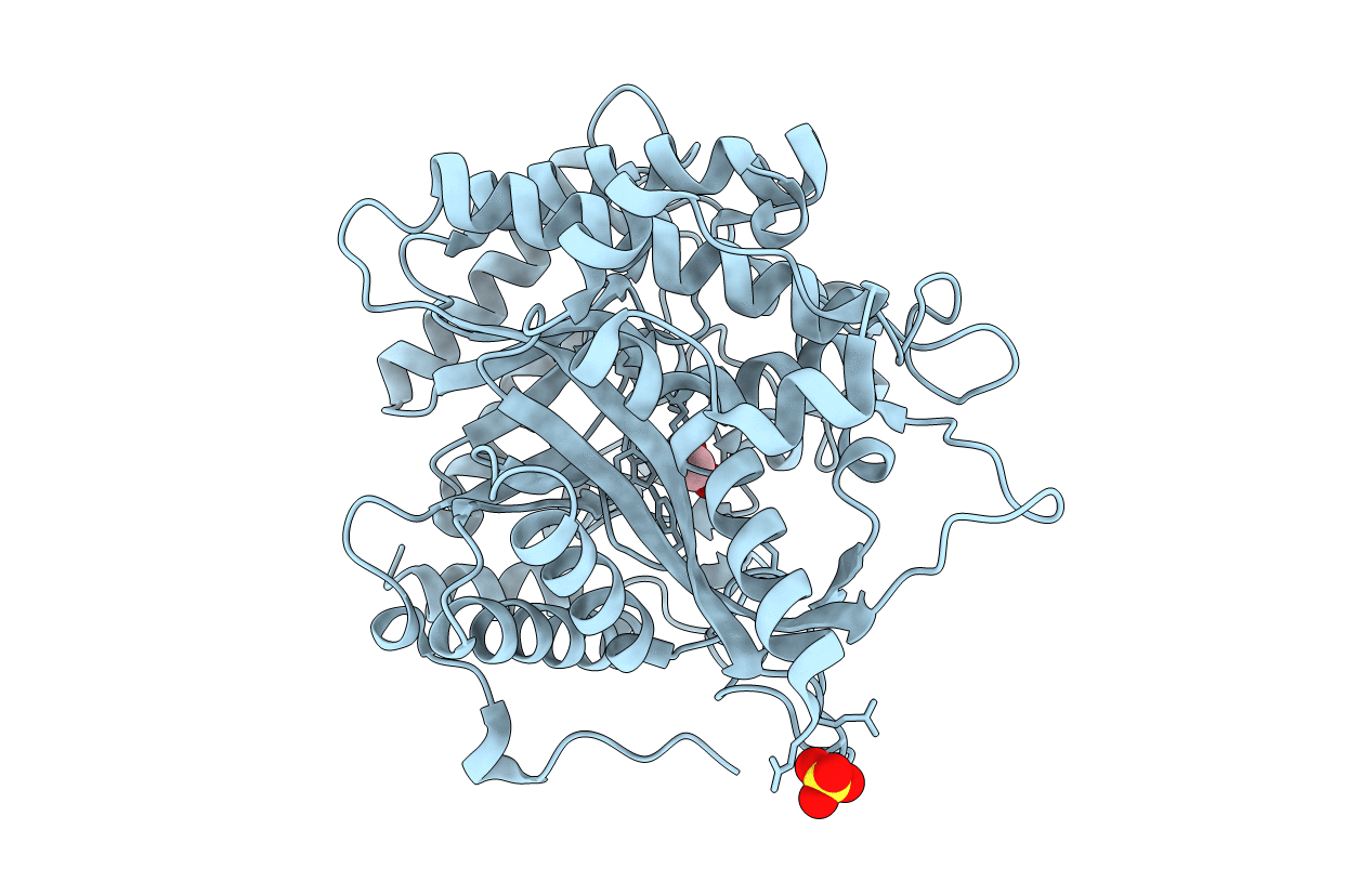 3AIU image