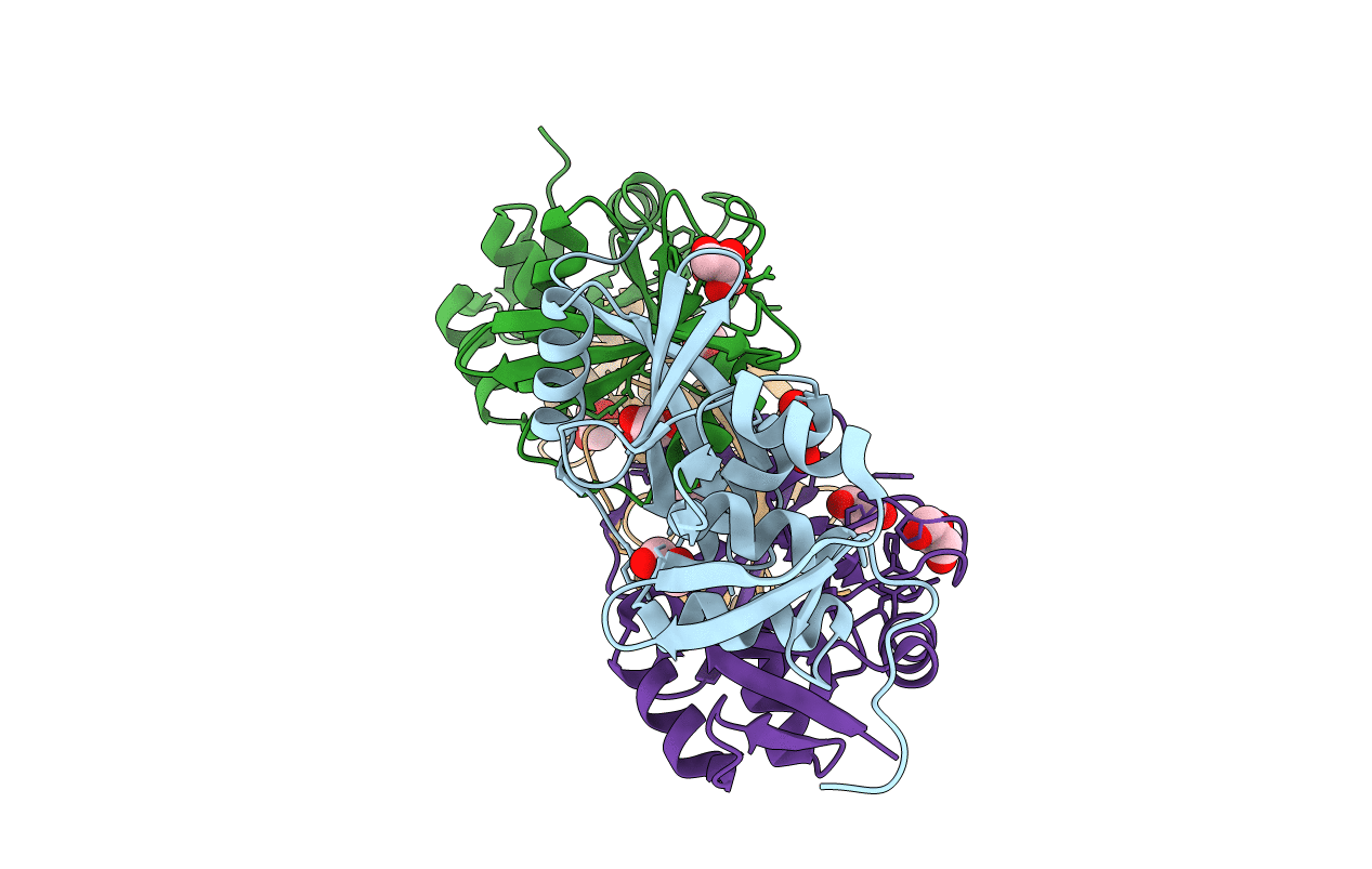 3AJV image