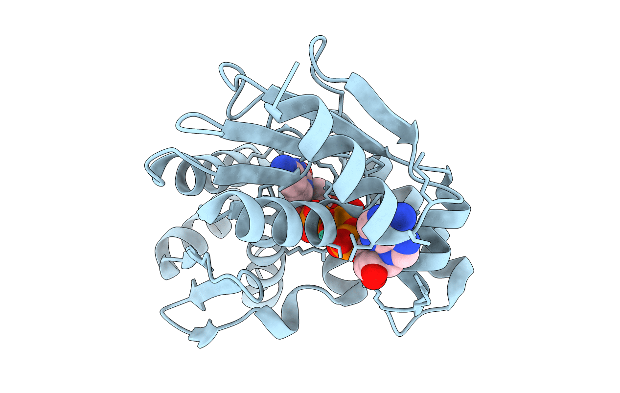 3AKC image