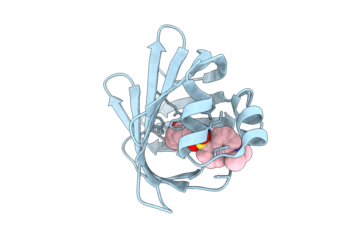 3AKN image