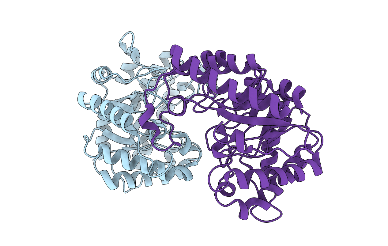 3AMC image