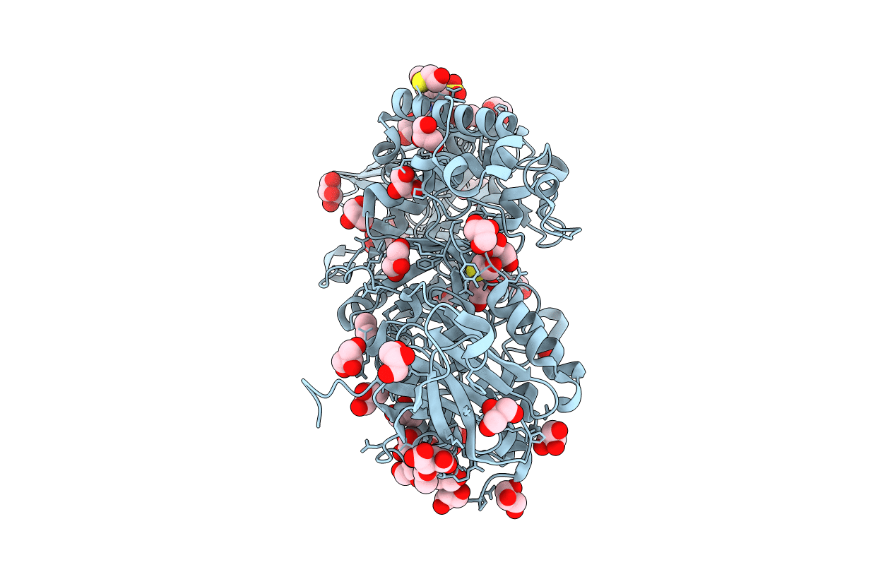 3AML image
