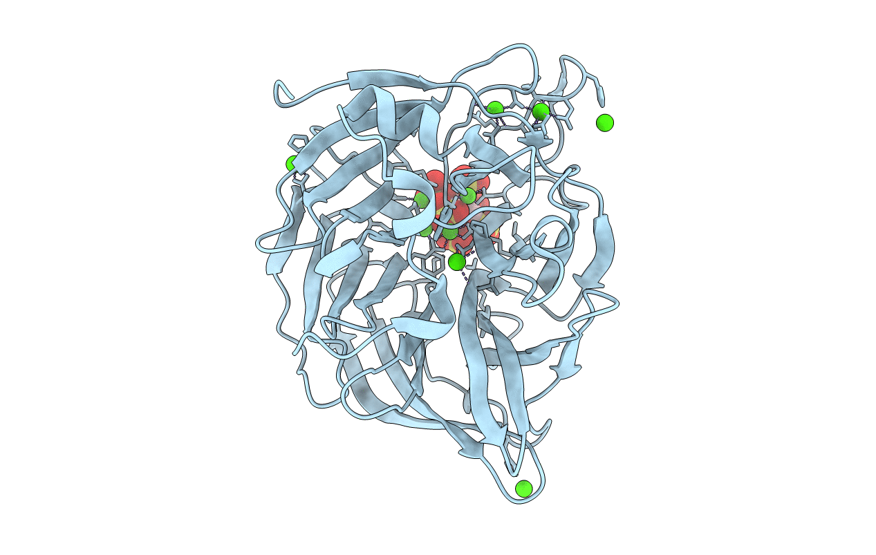 3AMR image
