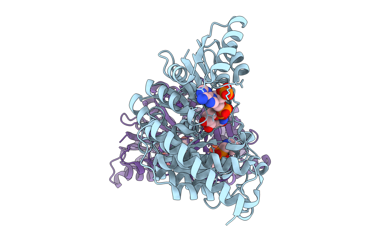 3ANL image