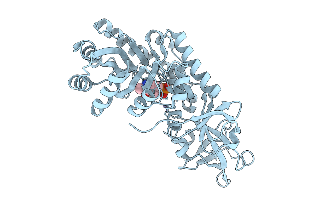 3ANU image