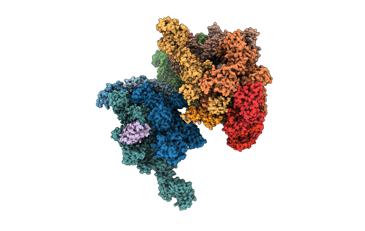 3AOH image