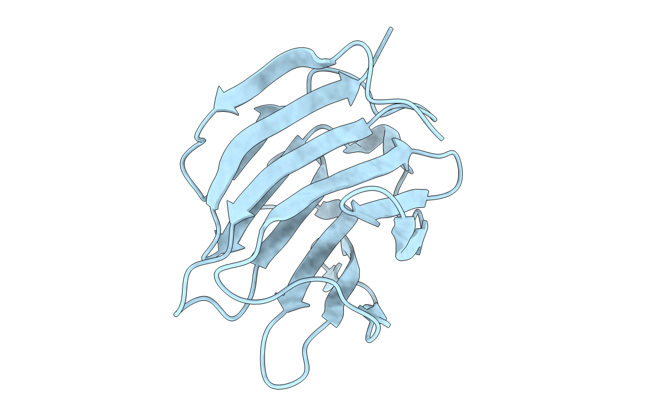 3AP5 image