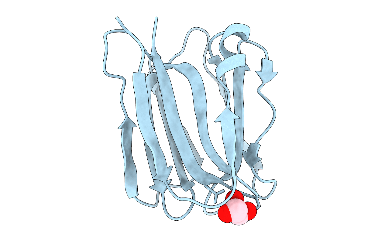 3APA image