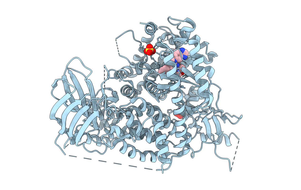 3APF image