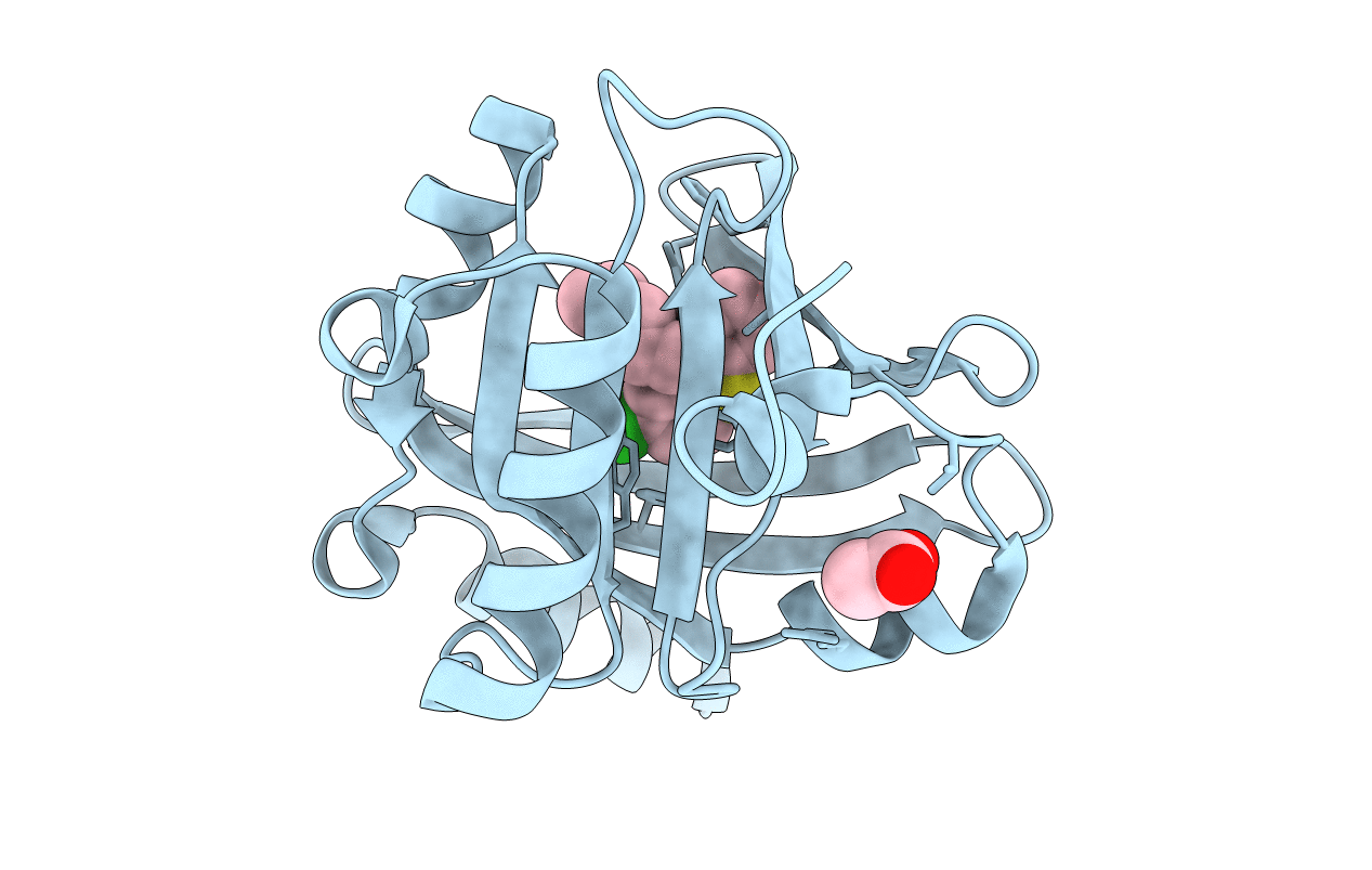 3APX image