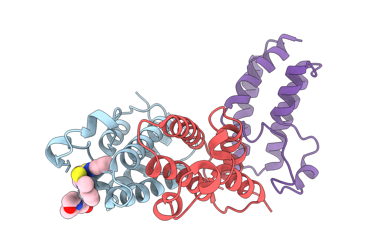 3AQA image