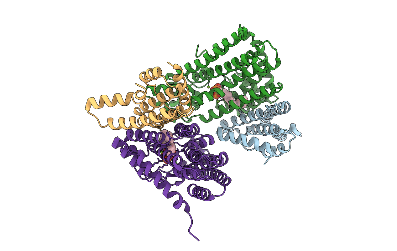 3AQC image