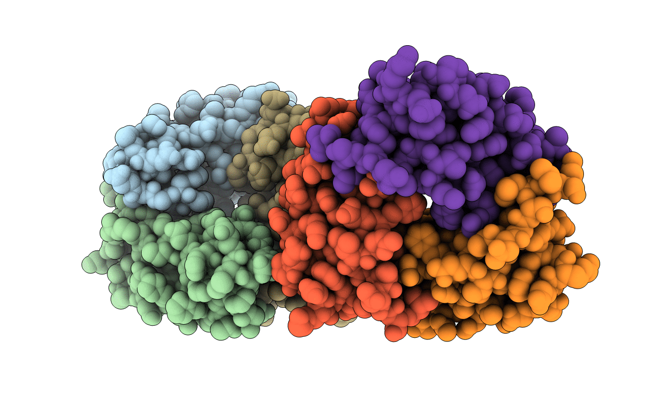 3AQE image