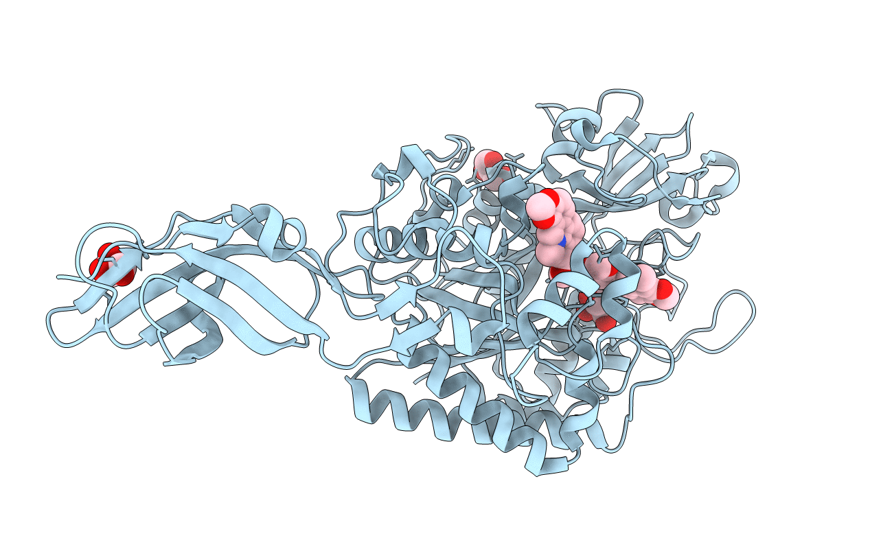 3ARV image